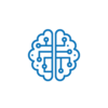 discover SEO
